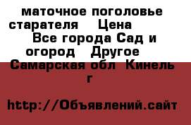 маточное поголовье старателя  › Цена ­ 3 700 - Все города Сад и огород » Другое   . Самарская обл.,Кинель г.